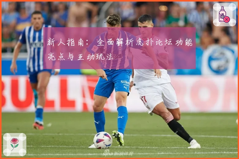 新人指南：全面解析虎扑论坛功能亮点与互动玩法