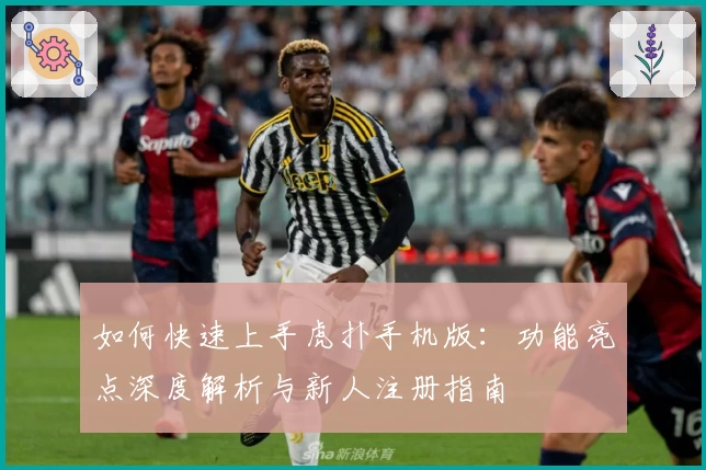 如何快速上手虎扑手机版：功能亮点深度解析与新人注册指南